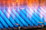 Maesbury gas fired boilers